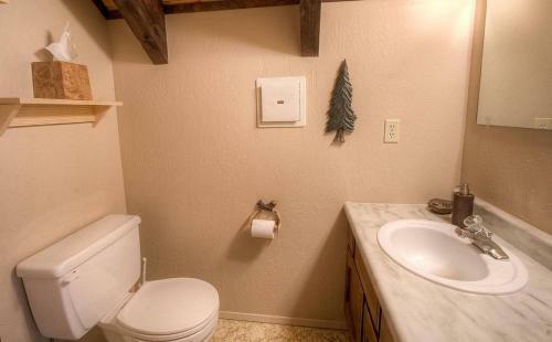 Tree Top Retreat By Lake Tahoe Accommodations
