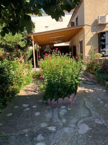 Traditional Maisonette In Pelion