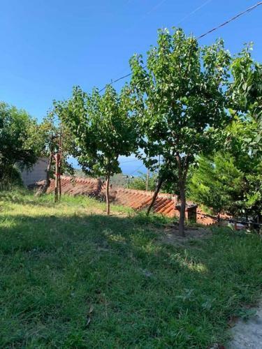 Traditional Maisonette In Pelion