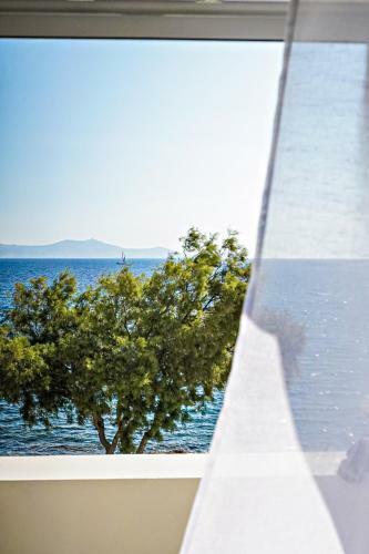 Apartamento Vivianna's View