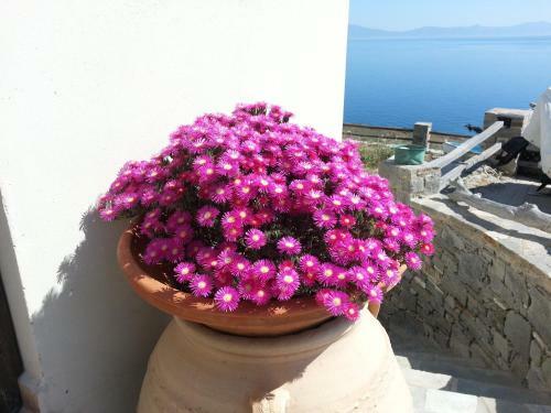 Aegean View - Seaside Apartment In Syros