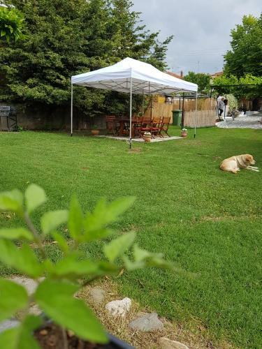 Athina's Home 1