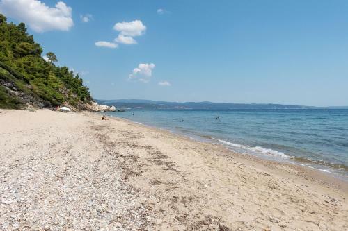 The Ideal Secluded Retreat