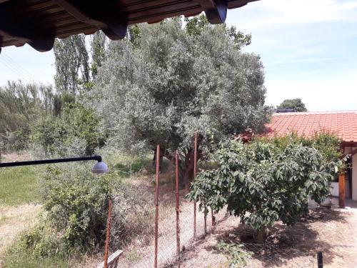 Olympian Garden Home