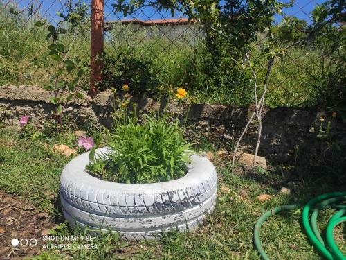 Apartamento Summer Nest
