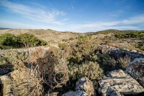 Hostal Art Studio Kefalonia