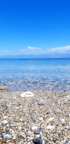 Apartamento Derveni Summer Time
