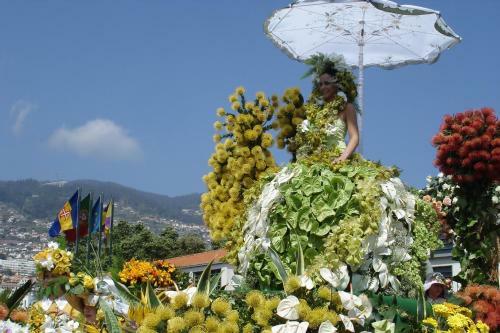 Central Studio In Funchal 3n