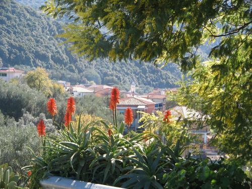 Apartamento Residence Albarosa
