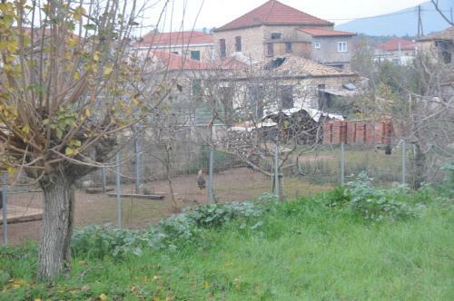 Spacious Stone House In Dorio, Messinia