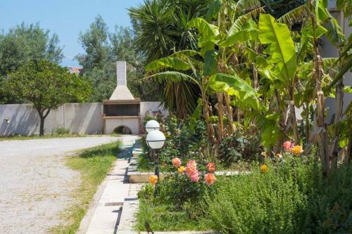Oliva Holiday Homes Exotic Studio