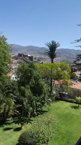 Jasmineiro - Palms Palace Apartment