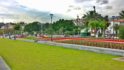 Central Studio In Funchal 1n