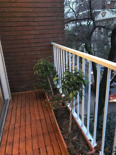 Apartamento Humboldt Palermo Luminoso