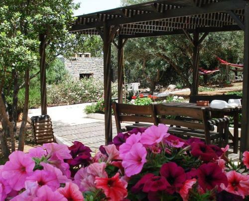 Apartamento Katerina Charming Place