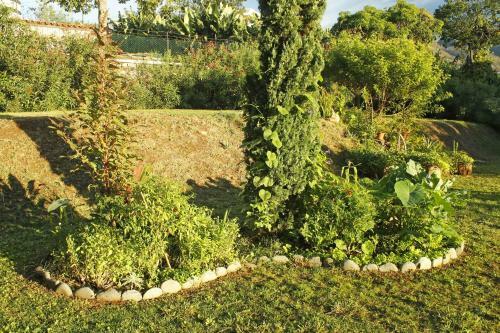 Rochas Apart Garden Refuge