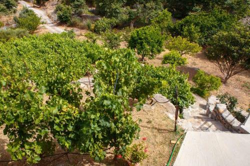 Villa 4 Destina