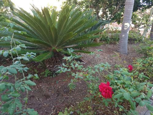 Apartamento City View Gardens I