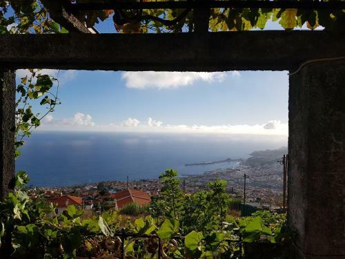 Apartamento City View Gardens I