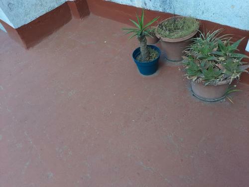 Apartamento Departamento Luminoso En Belgrano
