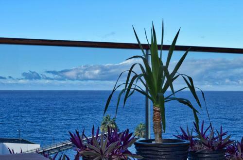 Apartamento Centromar Sunset, A Home In Madeira