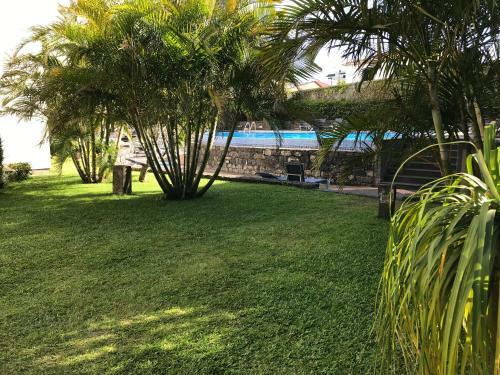 Funchal Apartment, With Pool