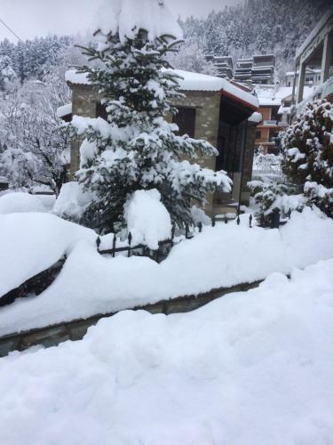 Villa Traditional Stone House