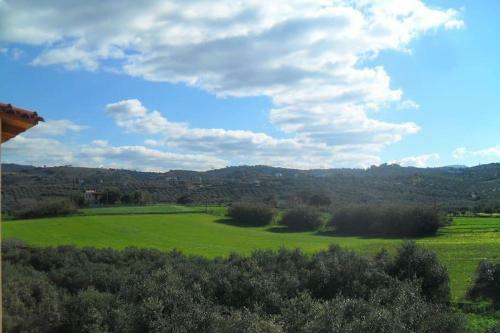 Olive Tree Farm 200m From The Beach