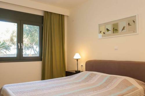Olive Tree Farm 200m From The Beach