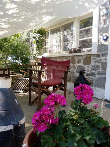 Hostal Arcadia Eressos