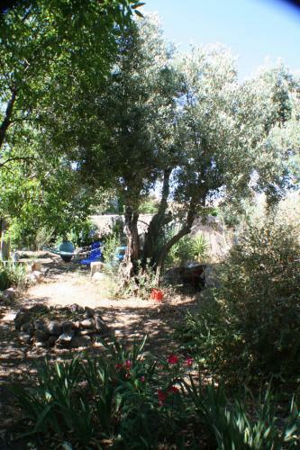 Hostal Arcadia Eressos