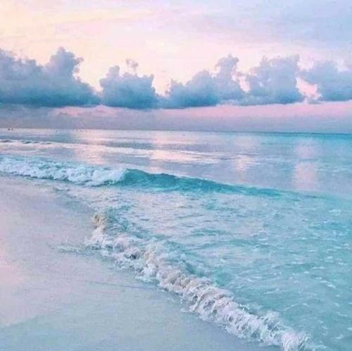 Bed & Breakfast Beach-way Coastal Seminole 4br 2 Bath