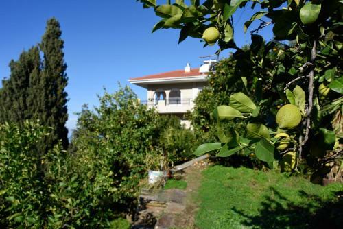 House In ?ndless Green - Arethousa, Ikaria