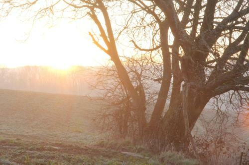 Etangs Du Moulin