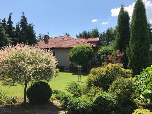 Agroturismo ?wierkowe Wzg�rze