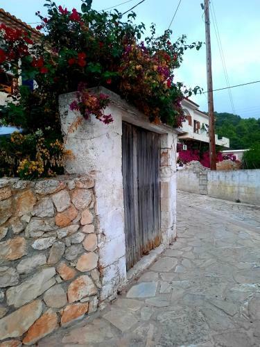 Katoi Traditional House