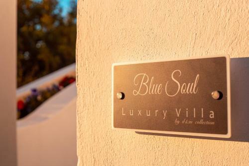 Blue Soul Luxury Villa