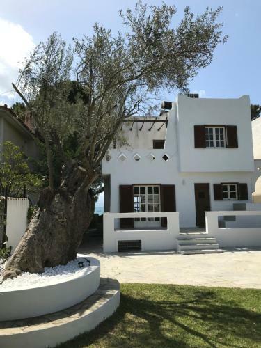Marvelous Beach House