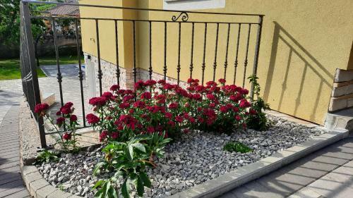 Apartman Ela