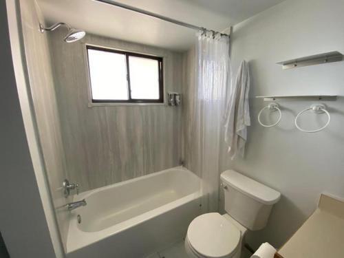 Ocean Village Club N35