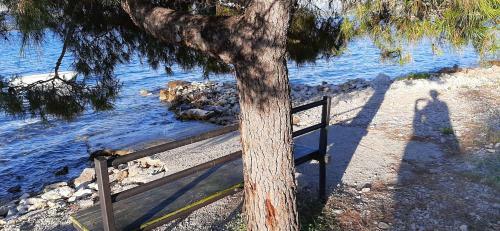 Apartmani Ola