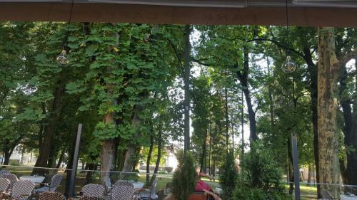 Posada Park Rooms