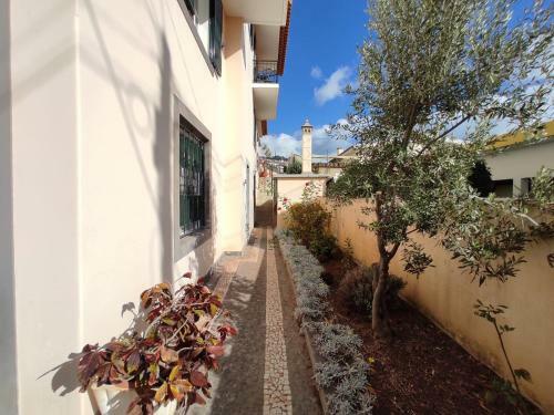 Villa Telo