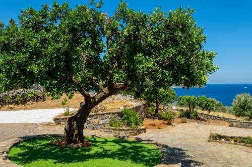 Elounda Anemelia Apartments