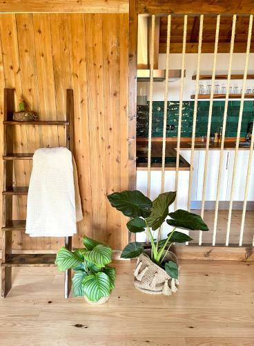 Mountain Eco Shelters 2