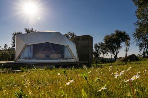 Gavi�o Nature Village