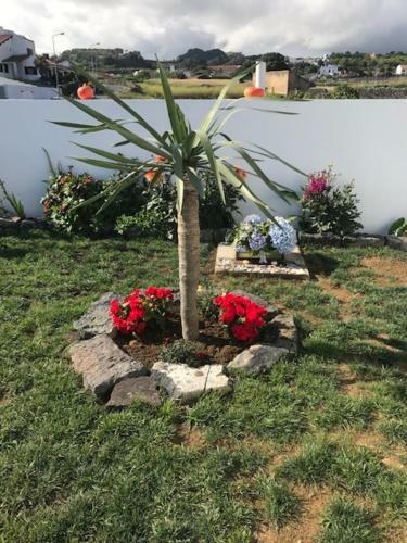 Joaninha's Beach House