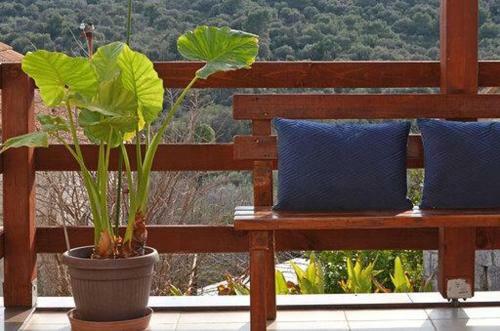 Apartamento Morena