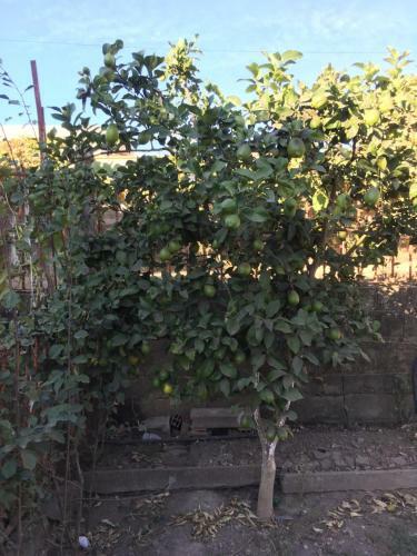 Apartamento Casa Da Mam�
