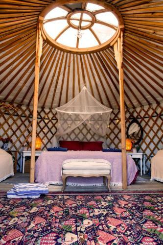 Goodmuda Tipi's